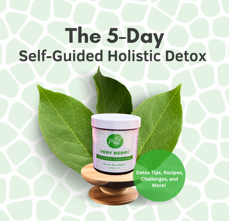 Self - Guided Holistic Detox Guide