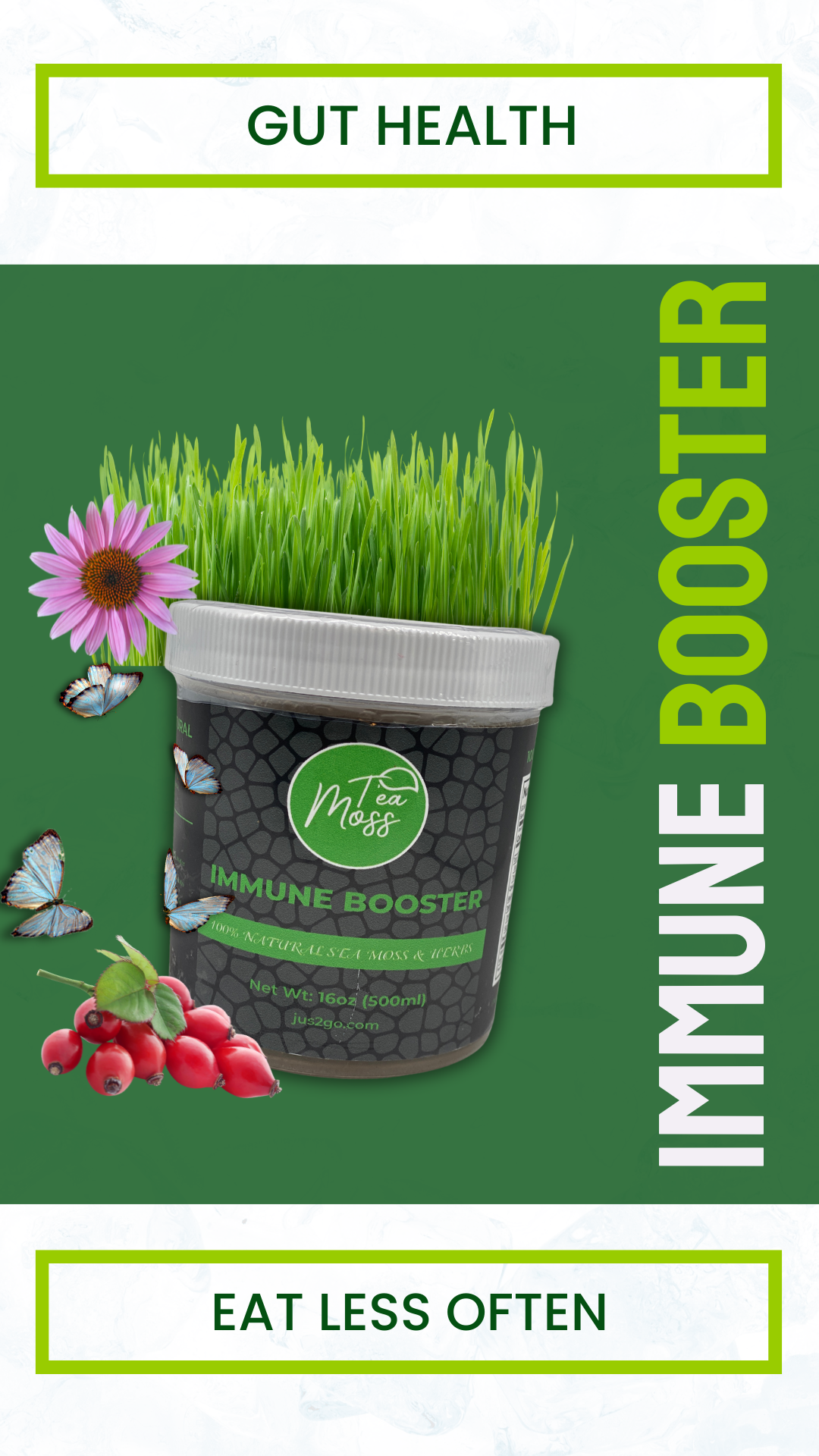 Immune Booster